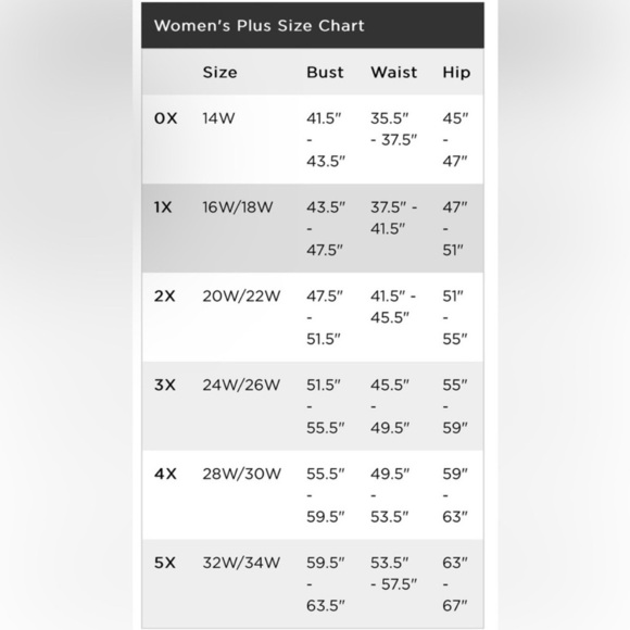 NWT LC Lauren Conrad Burgundy Floral Sequin Dress - Size 2X #246 - Picture 12 of 12